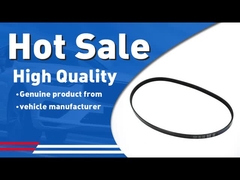 সহায়ক ড্রাইভ বেল্ট 31330870 S60 S80 V60 V70 XC60 XC70 এর জন্য