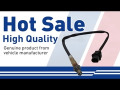 অক্সিজেন সেন্সর-31293740