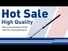 হুড স্ট্রুট-৩০৬৪৯৭৩৬