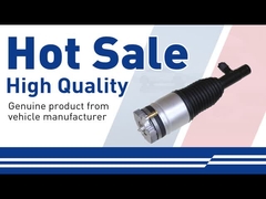 বায়ু শক শোষক ৩১৬৫৮৯০৪