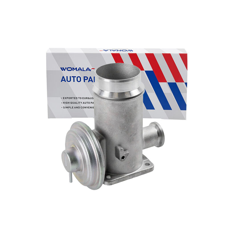 ওমোলা অটো পার্টস এক্সহস্ট গ্যাস রিসার্কুলেশন ভালভ OE 11717792077 BMW-এর জন্য EGR ভালভ