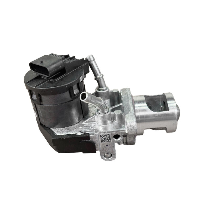 Womala EGR Valve 11717810871 11719886714 জন্য BMW 1/3/5/7 সিরিজ X1/3/5/6