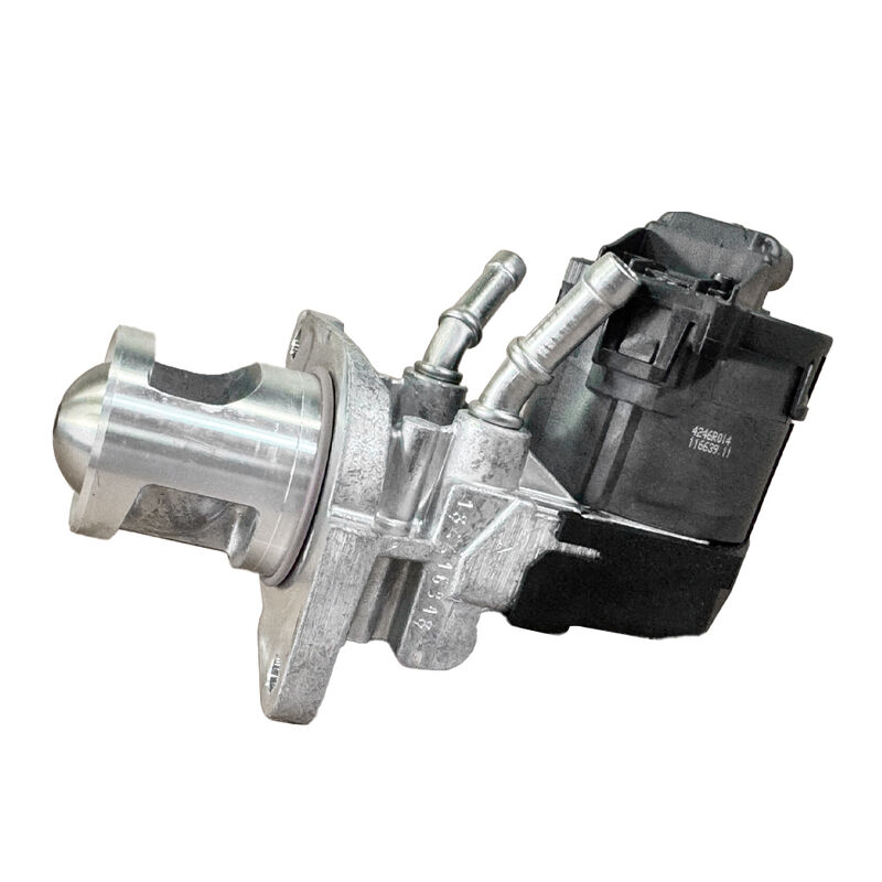 Womala EGR Valve 11717810871 11719886714 জন্য BMW 1/3/5/7 সিরিজ X1/3/5/6