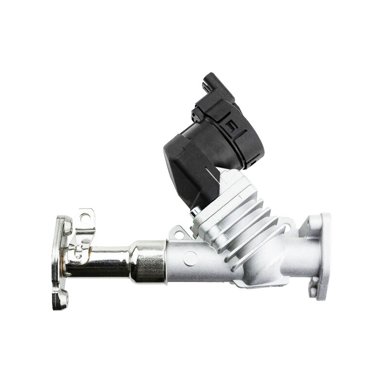 ওমোলা অটো পার্টস ইজিআর ভালভ 11717563241 11718479590 বিএমডব্লিউ 1/3/5 সিরিজের জন্য